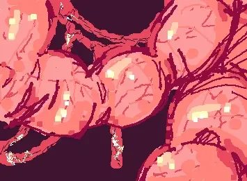Gut wall