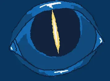 eye