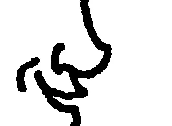 Smilie