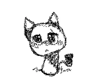 kitty