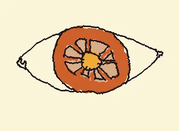 eye