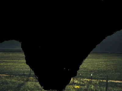 ef4