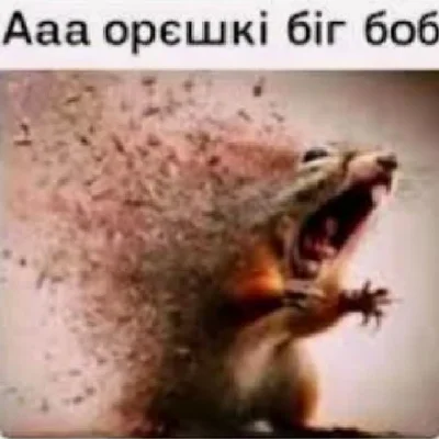 попались гнилые орэшкi