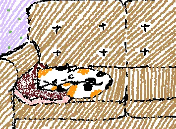 kitty on da sofa