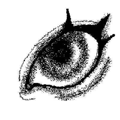 eyes