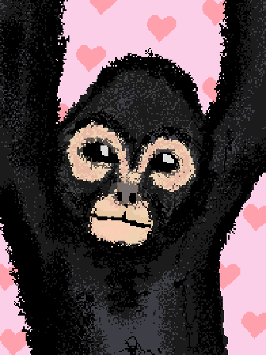 macaco aranha 🕷️