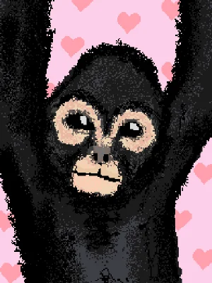 macaco aranha 🕷️