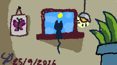 cat on the window