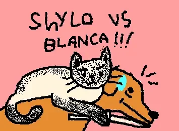 Shylo vs blanca