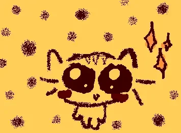 a cute litte cat