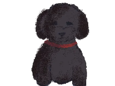 🐩