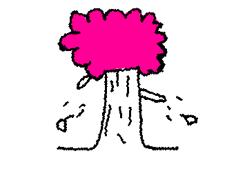 cherry blossem tree