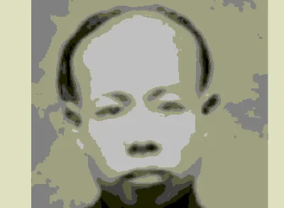 My profile pic in extremely low resolution