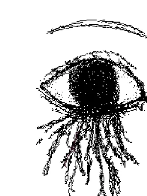 eyes