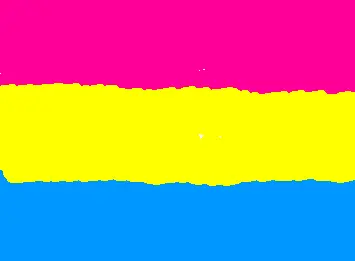 Pansexual Flag <3