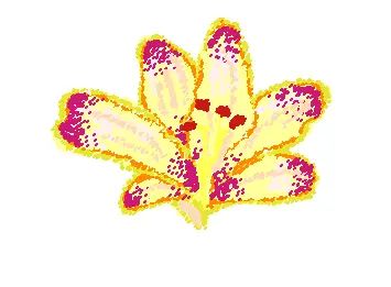 flor
