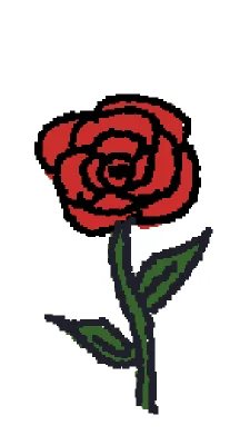 normal rose