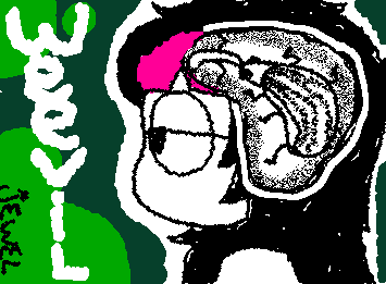 weevil