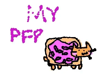 my pfp (i tried)