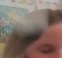 The distaster