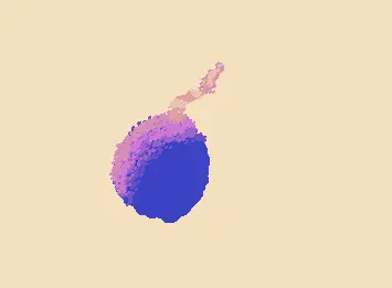 boMB