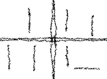 Loss