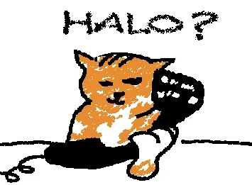 halo cat