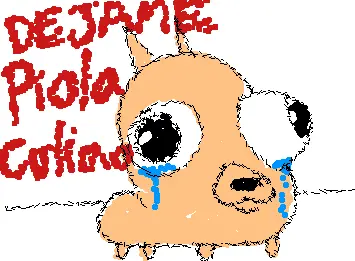 chiwawa culiao lloron