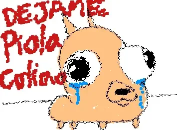 chiwawa culiao lloron