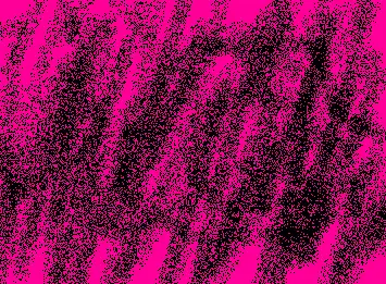 flies