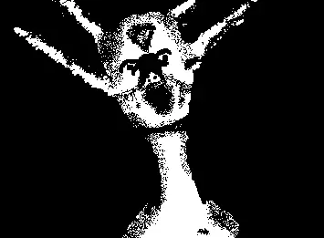 WHITE DIAMOND