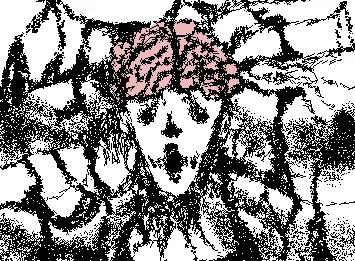 insanity