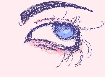 The eye