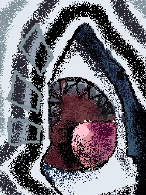 shark🦈⋆. 𐙚 ˚