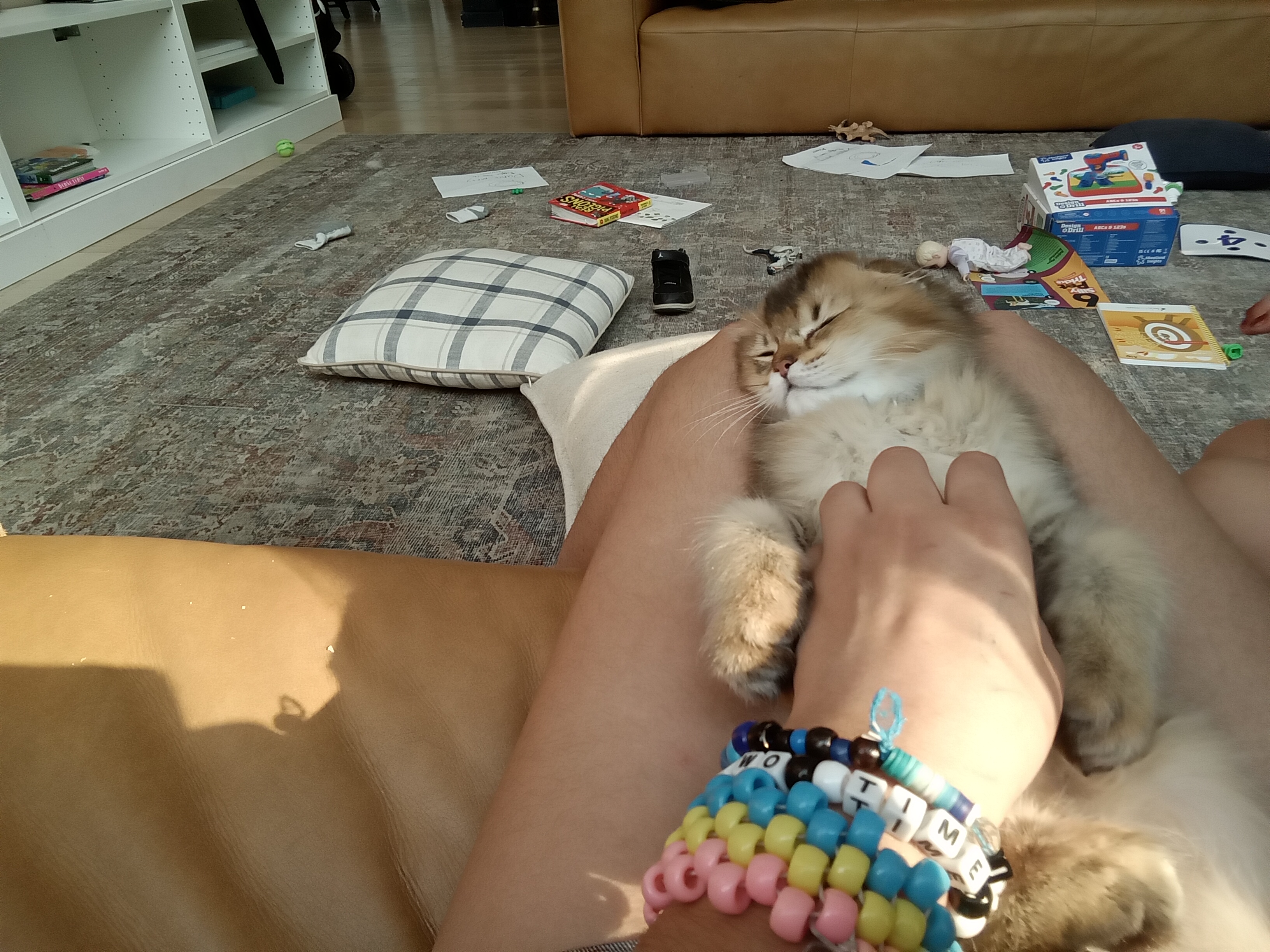 My kitty mushki