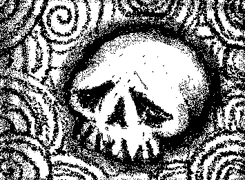 Lex's skull