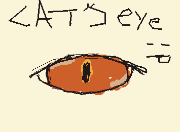 cat eye ok? Ok