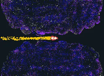 Spaceship Traveling Through Interstellar Clouds