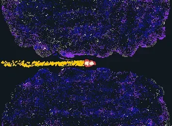 Spaceship Traveling Through Interstellar Clouds