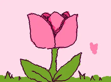 A tulipan