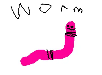 worm