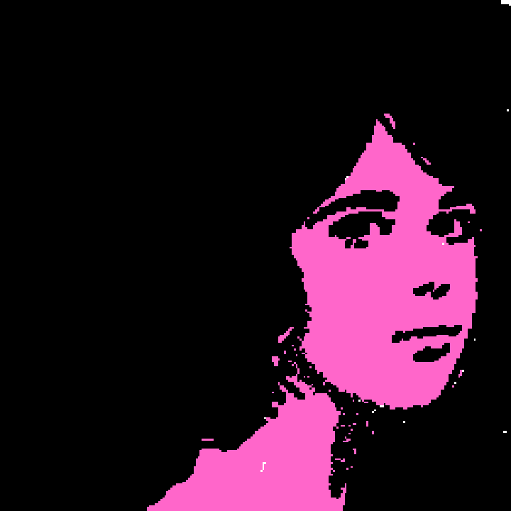 TV girl
