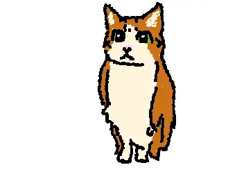 meowl