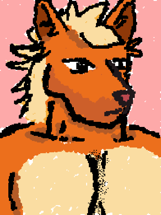 Foxxxer