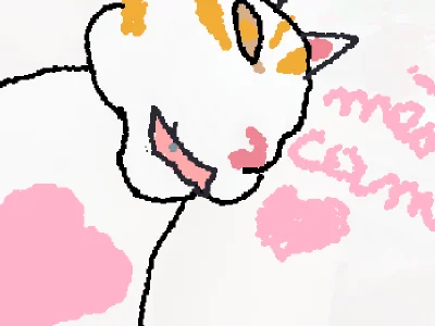 mèo cam💗