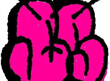 BS