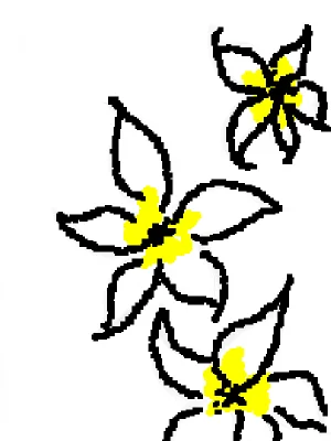 flowers :))