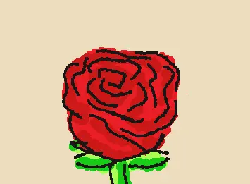 red rose