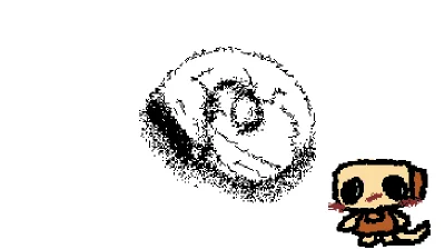 a shell and shelly