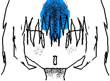 akr